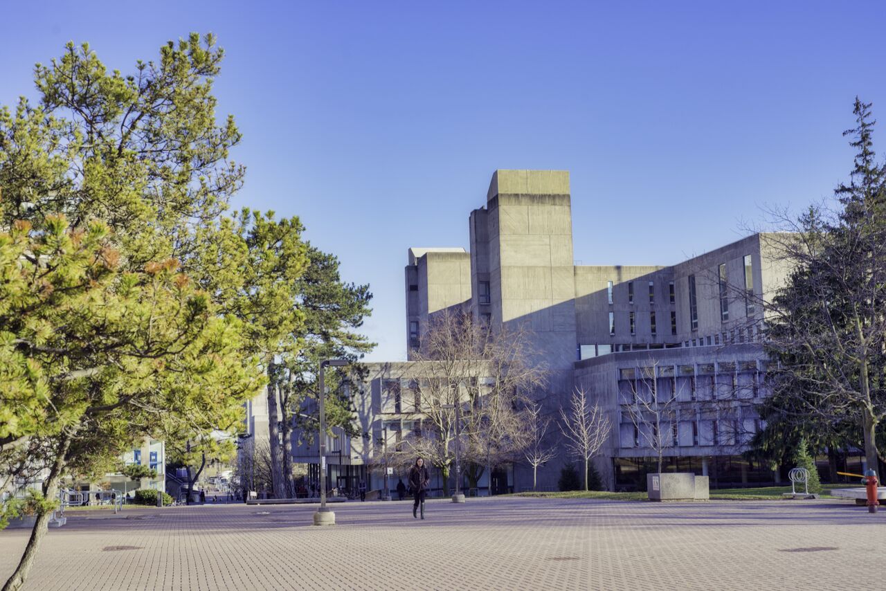 University Of Guelph